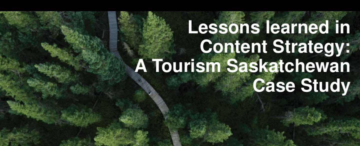 Case study presentation: Lessons learned in content strategy